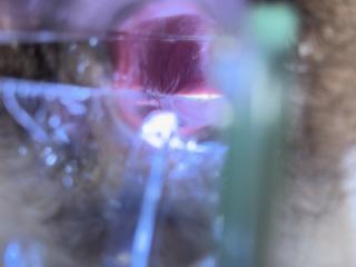 Vaginal inspection request 6 of 11