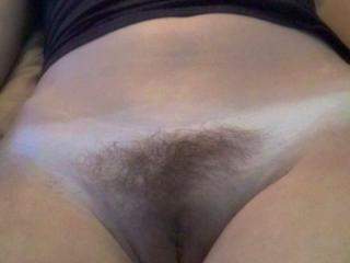 hairy pussy 5 of 7