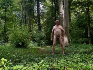 nude in the forest 8 of 9