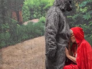 Red Riding Hood Video