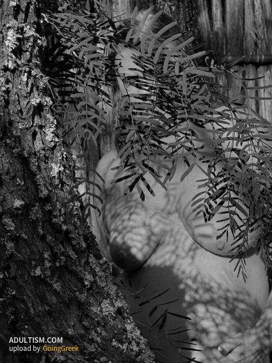 Image 5 of 9