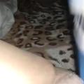 Bottle fun
